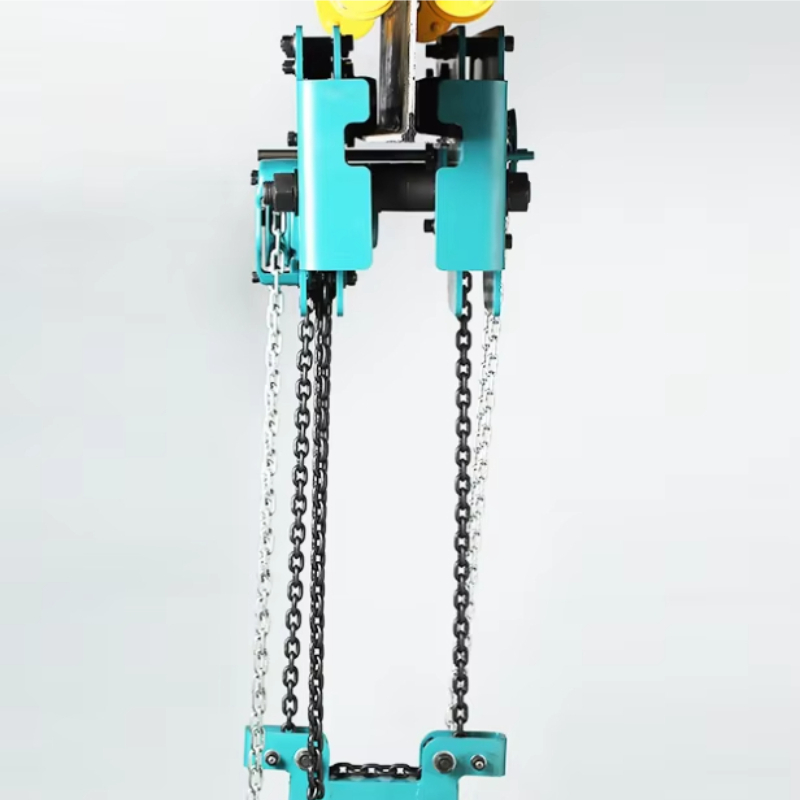 Low Headroom Double Chain Hand - Heavy Equipment Handling avis et prix